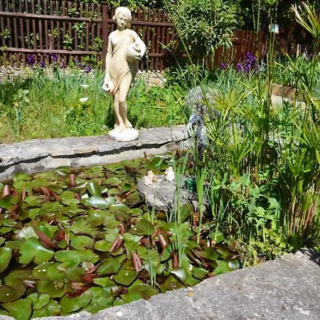 Holiday home Maison De Caractere A - Terrasse Et Jardin Cloture Ceyreste
