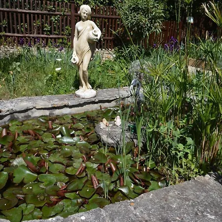 Maison De Caractere A - Terrasse Et Jardin Cloture